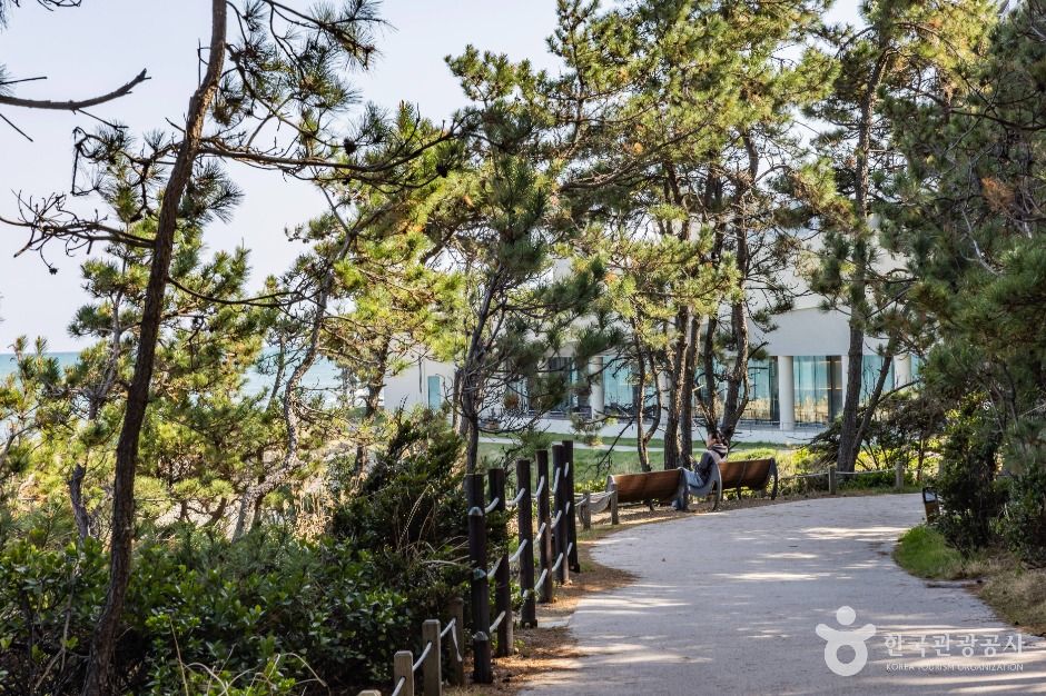 오시리아 해안산책로 여행 추천 - 메고지고 오시리아 해안산책로 여행 추천 - 메고지고