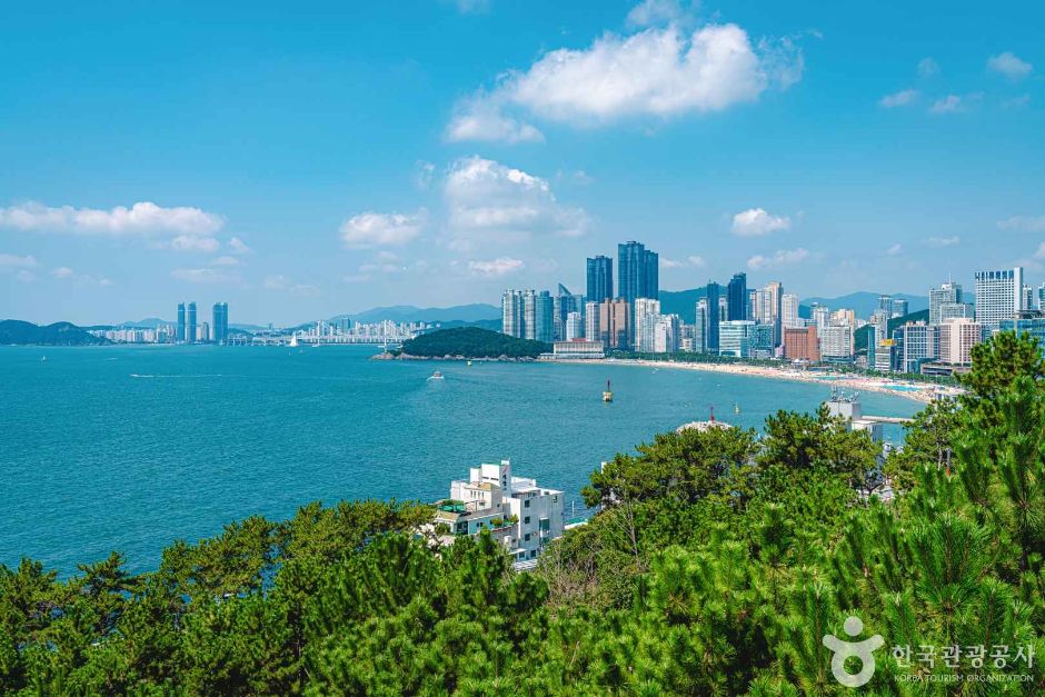 해운대 달맞이길 여행 추천 - 메고지고 해운대 달맞이길 여행 추천 - 메고지고
