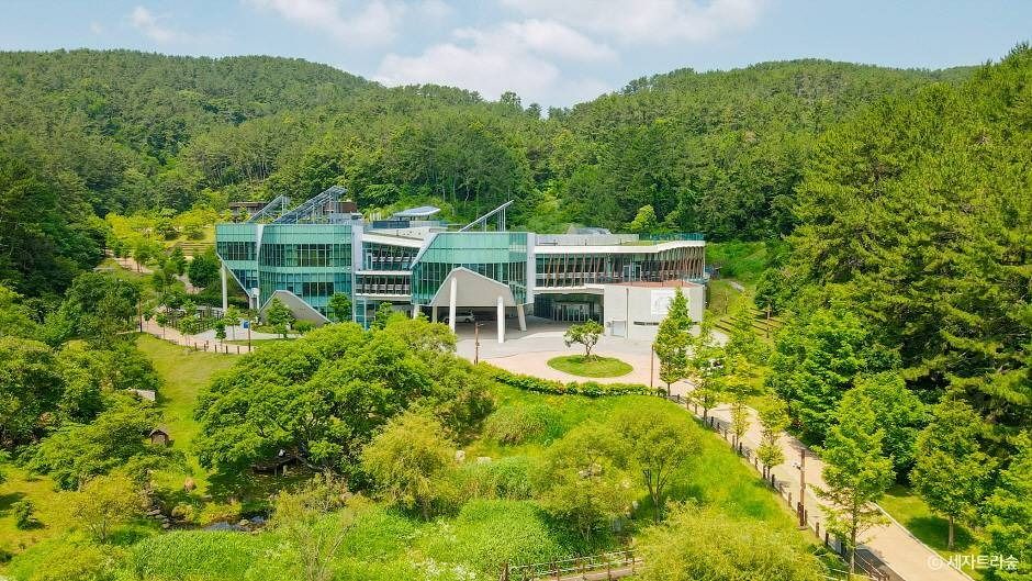 통영RCE세자트라숲 여행 추천 - 메고지고 통영RCE세자트라숲 여행 추천 - 메고지고