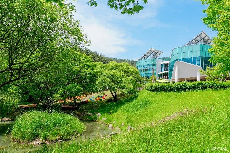 통영RCE세자트라숲 여행 추천 - 메고지고 통영RCE세자트라숲 여행 추천 - 메고지고