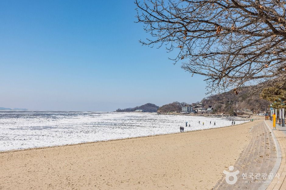 강화 동막해변 여행 추천 - 메고지고 강화 동막해변 여행 추천 - 메고지고