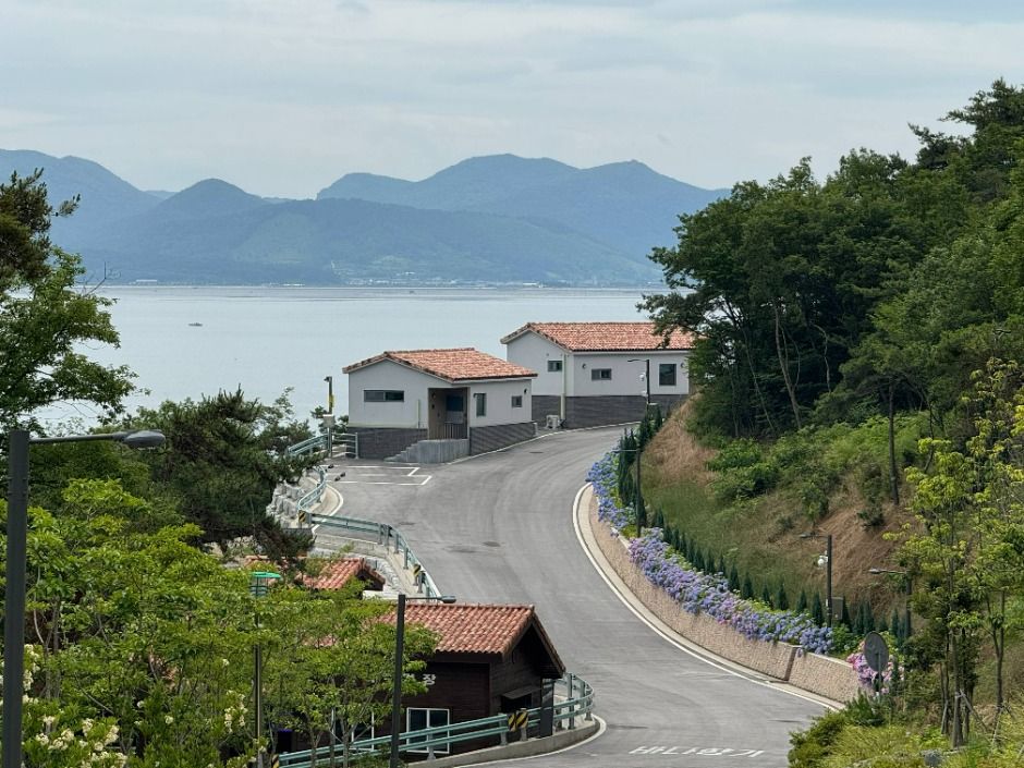 변산자연휴양림 여행 추천 - 메고지고