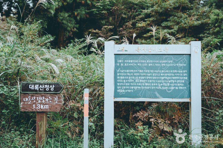 큰사슴이오름 여행 추천 - 메고지고 큰사슴이오름 여행 추천 - 메고지고