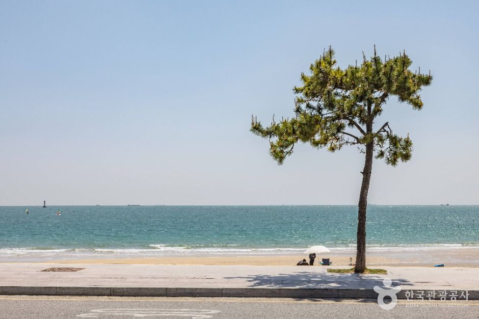 송정해수욕장 여행 추천 - 메고지고 송정해수욕장 여행 추천 - 메고지고