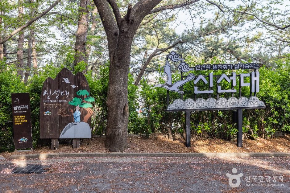 신선대(부산) 여행 추천 - 메고지고 신선대(부산) 여행 추천 - 메고지고