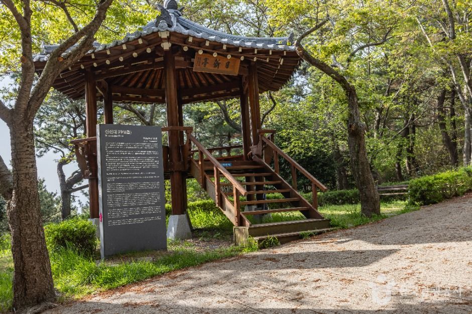 신선대(부산) 여행 추천 - 메고지고 신선대(부산) 여행 추천 - 메고지고