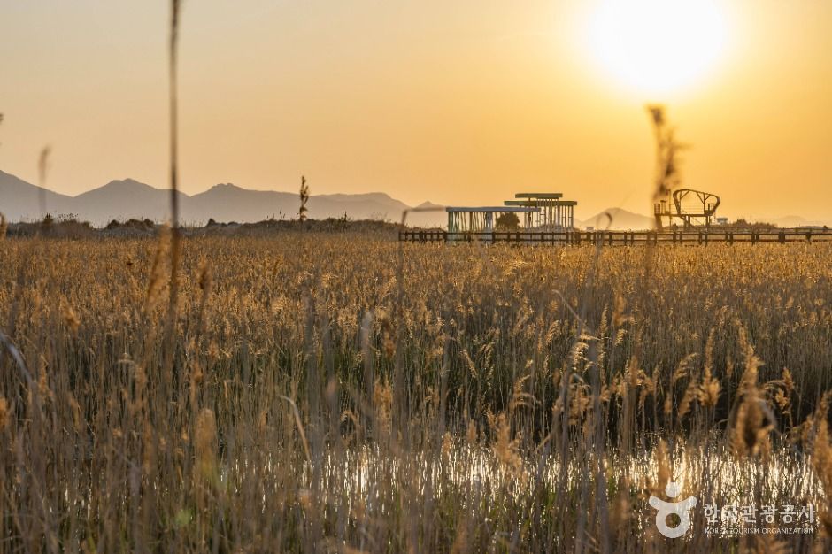 다대포해수욕장 여행 추천 - 메고지고 다대포해수욕장 여행 추천 - 메고지고
