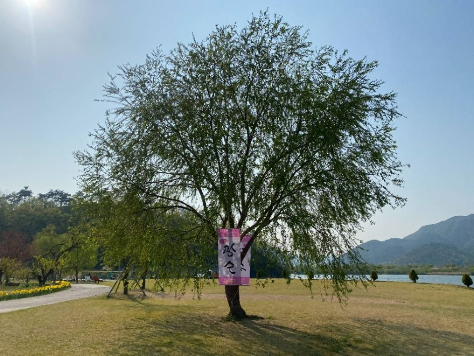 용당나루 매화공원 여행 추천 - 메고지고 용당나루 매화공원 여행 추천 - 메고지고