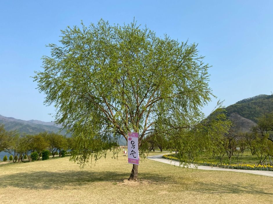 용당나루 매화공원 여행 추천 - 메고지고 용당나루 매화공원 여행 추천 - 메고지고