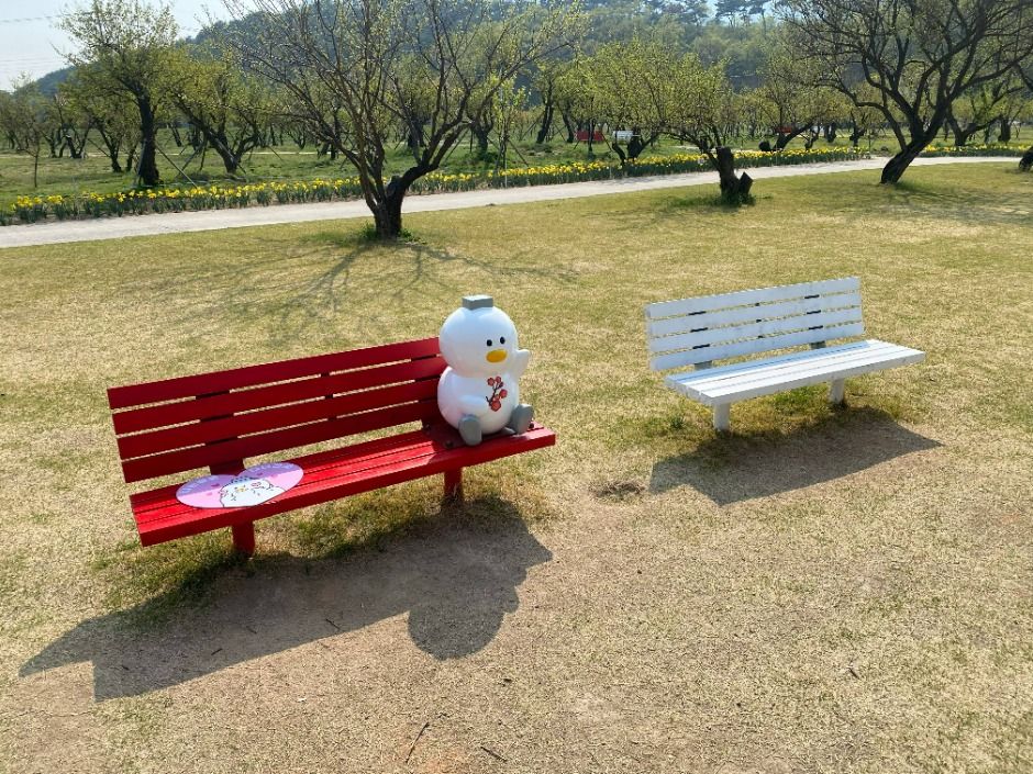 용당나루 매화공원 여행 추천 - 메고지고 용당나루 매화공원 여행 추천 - 메고지고