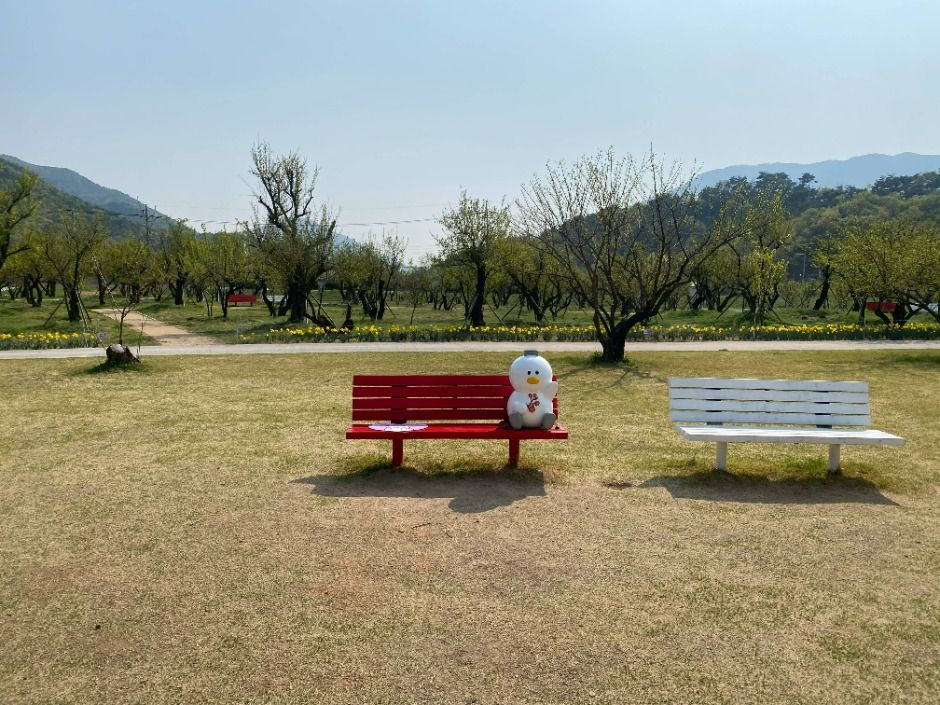용당나루 매화공원 여행 추천 - 메고지고 용당나루 매화공원 여행 추천 - 메고지고