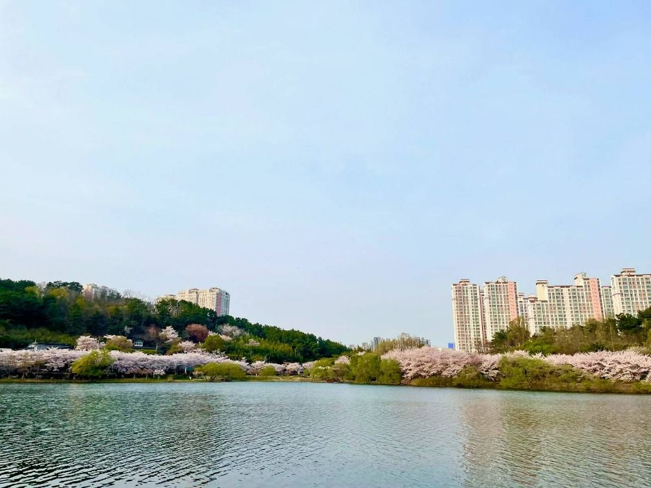선암호수공원 여행 추천 - 메고지고 선암호수공원 여행 추천 - 메고지고