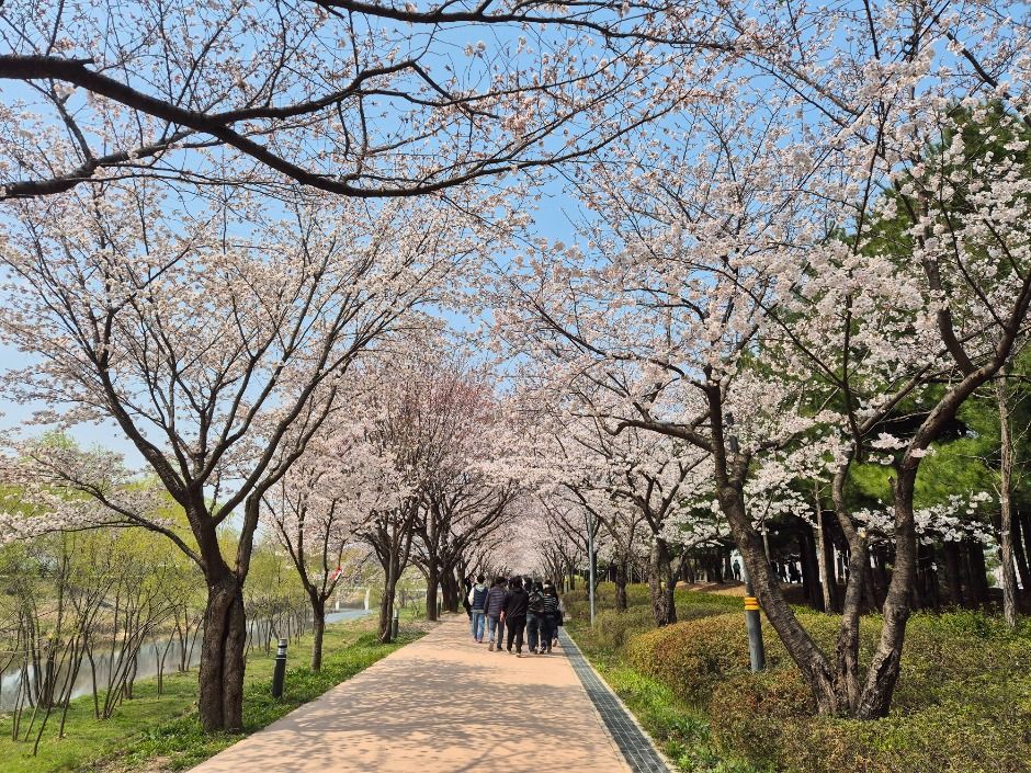 [경기옛길 삼남길 제4길] 서호천길 여행 추천 - 메고지고