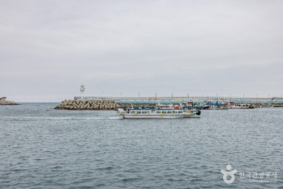 하리선착장(부산) 여행 추천 - 메고지고 하리선착장(부산) 여행 추천 - 메고지고
