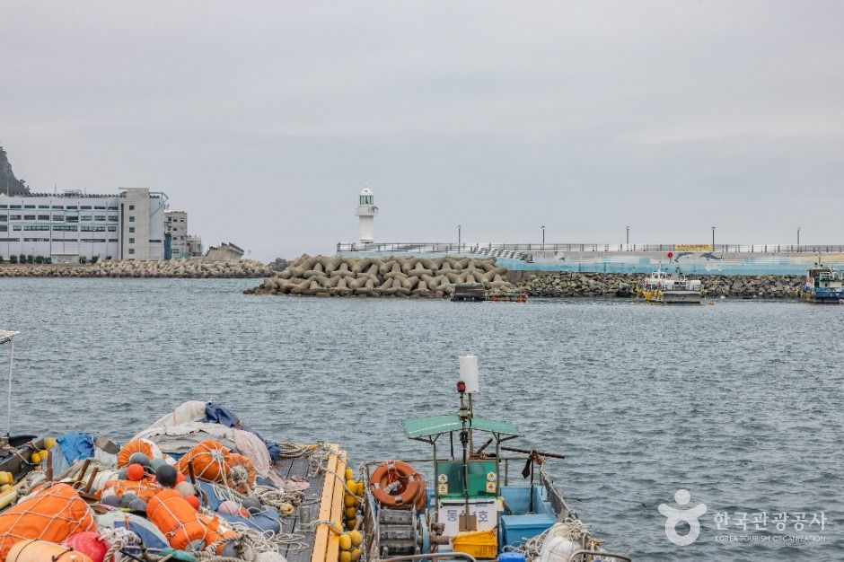 하리선착장(부산) 여행 추천 - 메고지고 하리선착장(부산) 여행 추천 - 메고지고