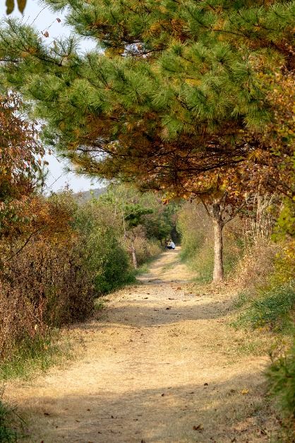 [평화누리길 6코스] 출판도시길 여행 추천 - 메고지고