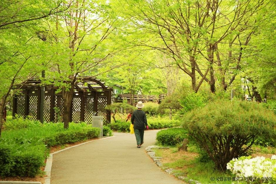 [북한산 둘레길 8구간] 구름정원길 여행 추천 - 메고지고