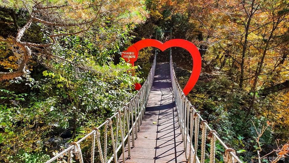 국립 가리왕산자연휴양림 여행 추천 - 메고지고 국립 가리왕산자연휴양림 여행 추천 - 메고지고