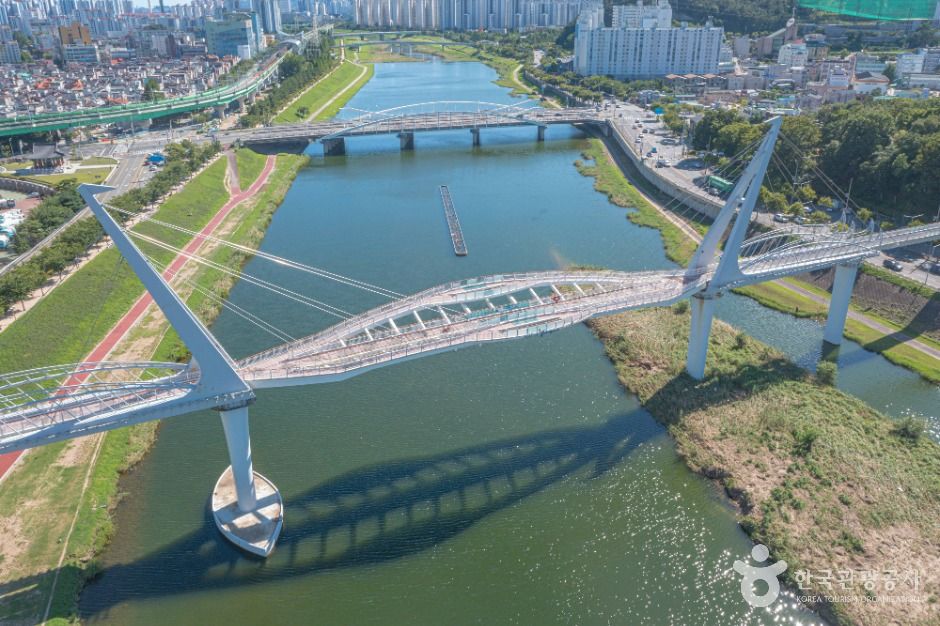 양산천 구름다리 여행 추천 - 메고지고 양산천 구름다리 여행 추천 - 메고지고