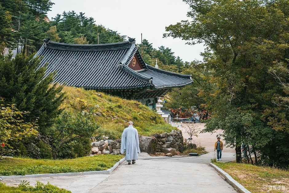 화암사(고성) 여행 추천 - 메고지고 화암사(고성) 여행 추천 - 메고지고