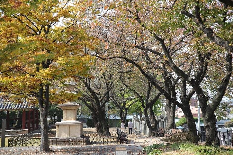 창녕 만옥정공원 여행 추천 - 메고지고 창녕 만옥정공원 여행 추천 - 메고지고