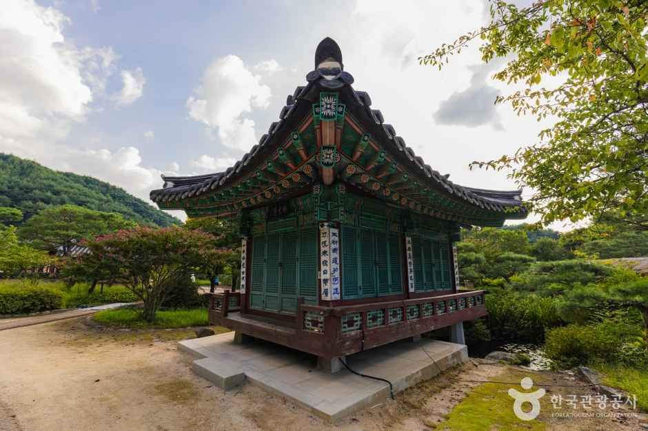선비촌 여행 추천 - 메고지고 선비촌 여행 추천 - 메고지고