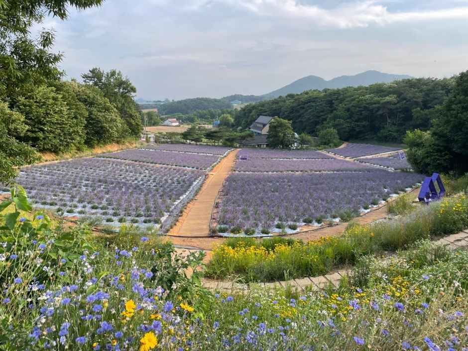 고창 청농원 여행 추천 - 메고지고 고창 청농원 여행 추천 - 메고지고
