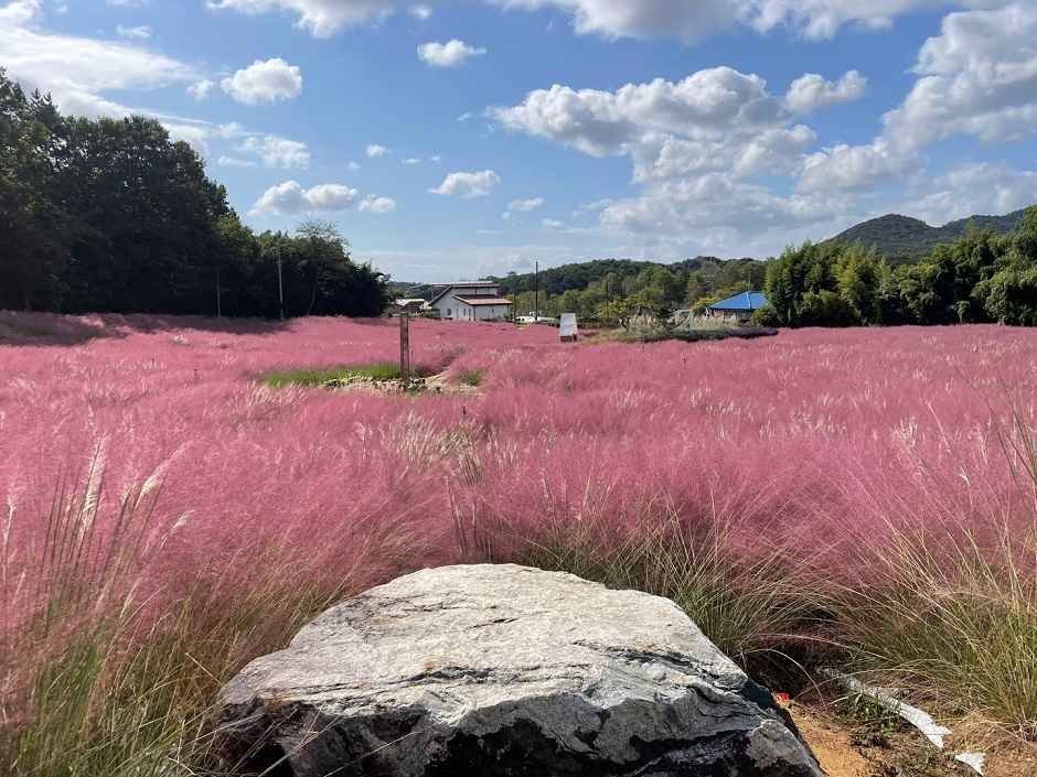 고창 청농원 여행 추천 - 메고지고 고창 청농원 여행 추천 - 메고지고