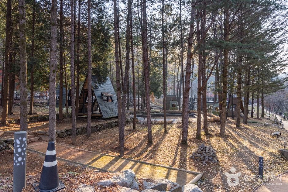 성수산 왕의숲 국민여가캠핑장 여행 추천 - 메고지고 성수산 왕의숲 국민여가캠핑장 여행 추천 - 메고지고
