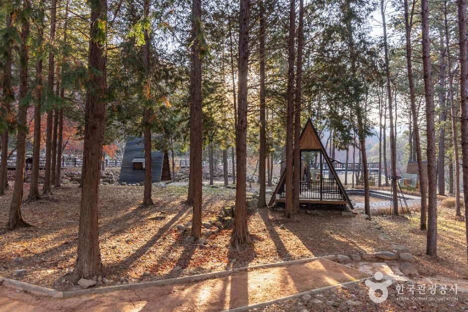 성수산 왕의숲 국민여가캠핑장 여행 추천 - 메고지고 성수산 왕의숲 국민여가캠핑장 여행 추천 - 메고지고