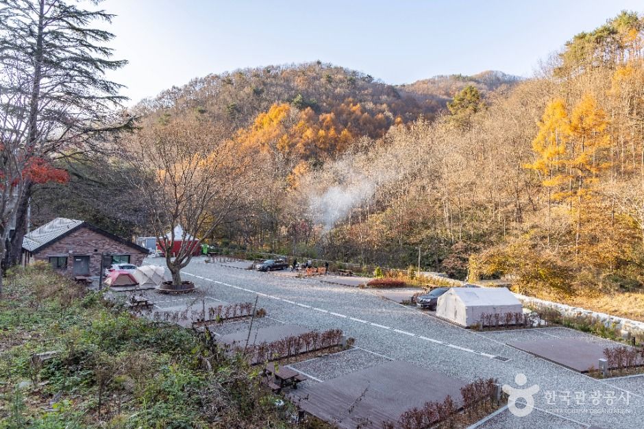 성수산 왕의숲 국민여가캠핑장 여행 추천 - 메고지고 성수산 왕의숲 국민여가캠핑장 여행 추천 - 메고지고