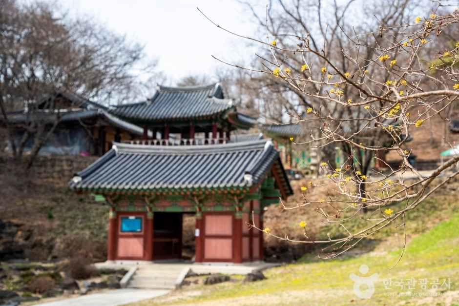 도피안사(철원) 여행 추천 - 메고지고 도피안사(철원) 여행 추천 - 메고지고