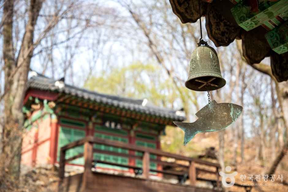 도피안사(철원) 여행 추천 - 메고지고 도피안사(철원) 여행 추천 - 메고지고