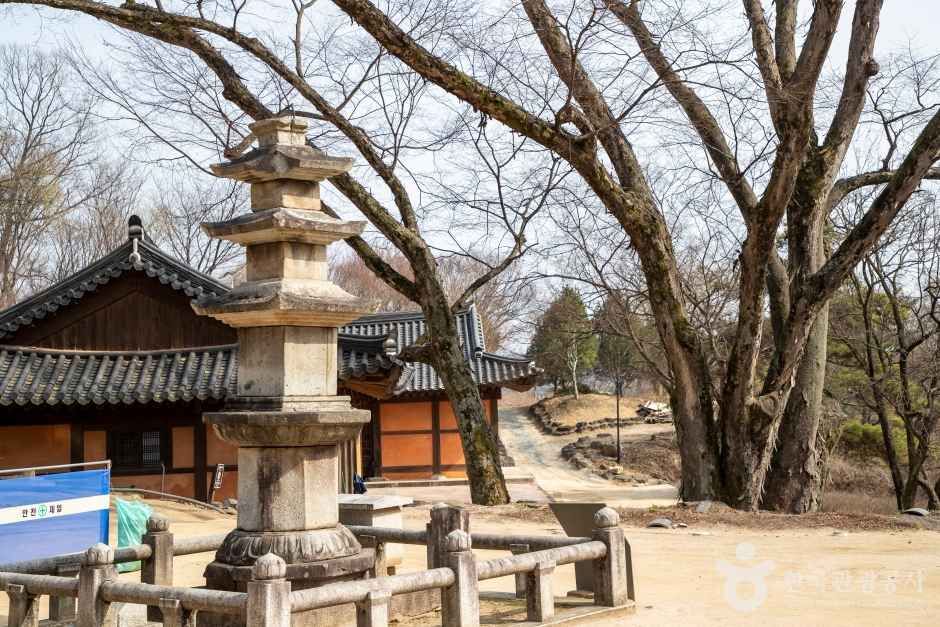 도피안사(철원) 여행 추천 - 메고지고 도피안사(철원) 여행 추천 - 메고지고