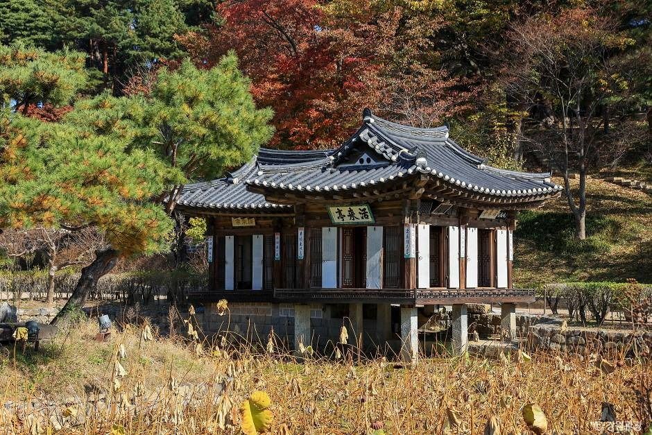강릉 선교장 여행 추천 - 메고지고 강릉 선교장 여행 추천 - 메고지고