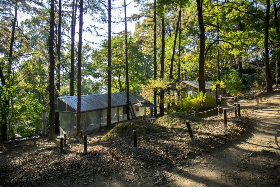 우암산 여행 추천 - 메고지고 우암산 여행 추천 - 메고지고
