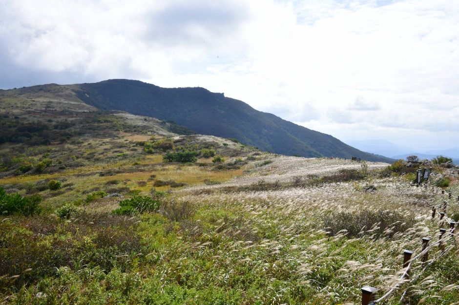 천성산 여행 추천 - 메고지고 천성산 여행 추천 - 메고지고