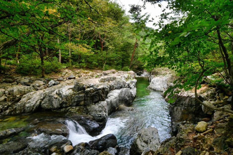 내원사계곡(양산) 여행 추천 - 메고지고 내원사계곡(양산) 여행 추천 - 메고지고