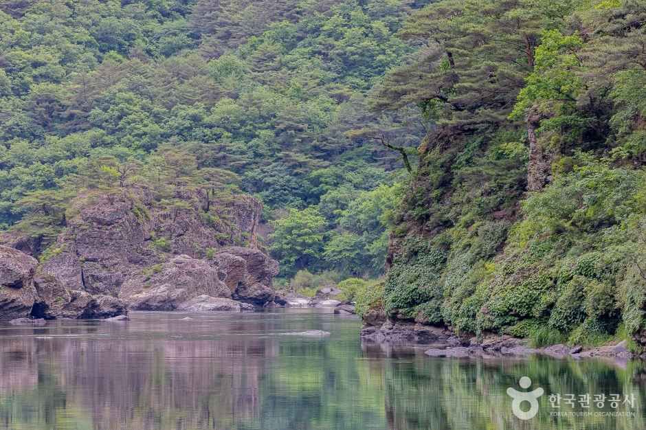 동강(영월) 여행 추천 - 메고지고 동강(영월) 여행 추천 - 메고지고