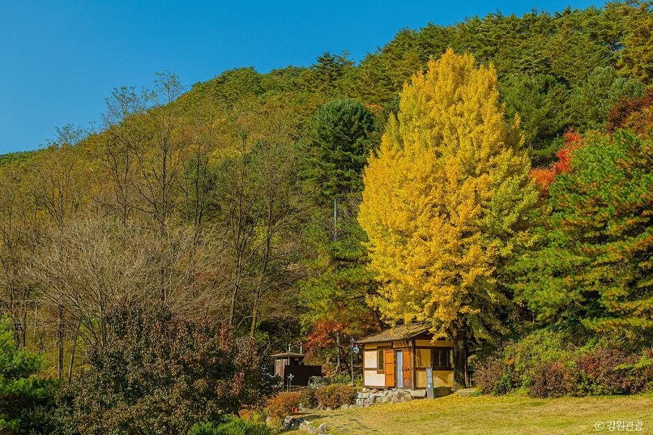 난고 김삿갓 유적지 여행 추천 - 메고지고
