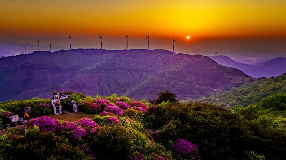 한우산 여행 추천 - 메고지고 한우산 여행 추천 - 메고지고