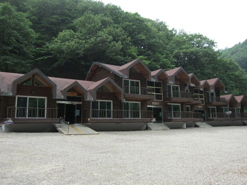 국립미천골자연휴양림 여행 추천 - 메고지고 국립미천골자연휴양림 여행 추천 - 메고지고