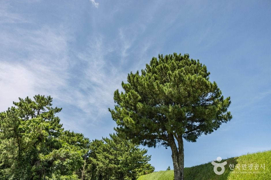 제주 항파두리 항몽 유적 여행 추천 - 메고지고 제주 항파두리 항몽 유적 여행 추천 - 메고지고