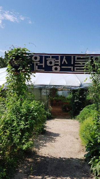 두물머리생태학교 여행 추천 - 메고지고 두물머리생태학교 여행 추천 - 메고지고