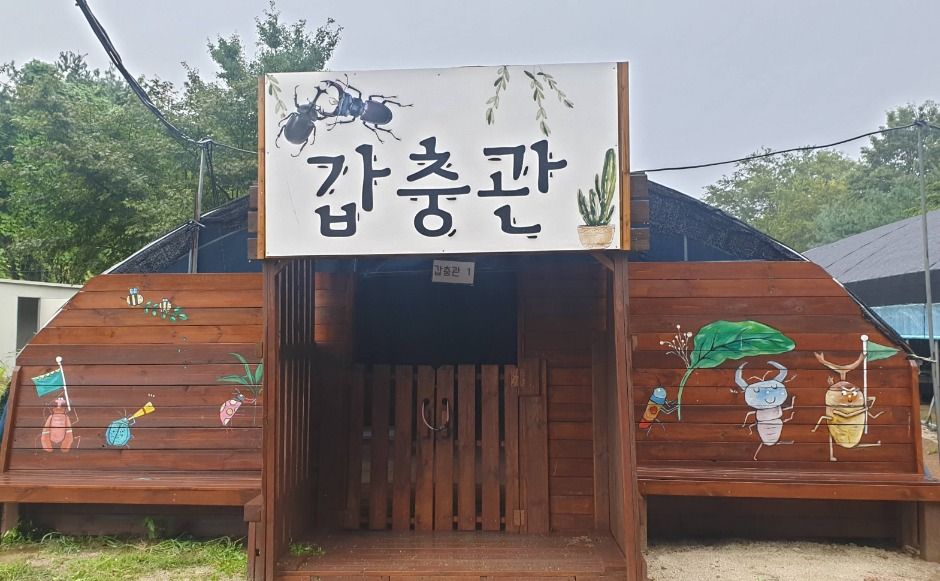 두물머리생태학교 여행 추천 - 메고지고 두물머리생태학교 여행 추천 - 메고지고