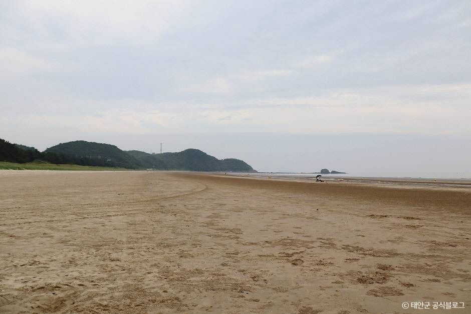 안면해수욕장 여행 추천 - 메고지고 안면해수욕장 여행 추천 - 메고지고