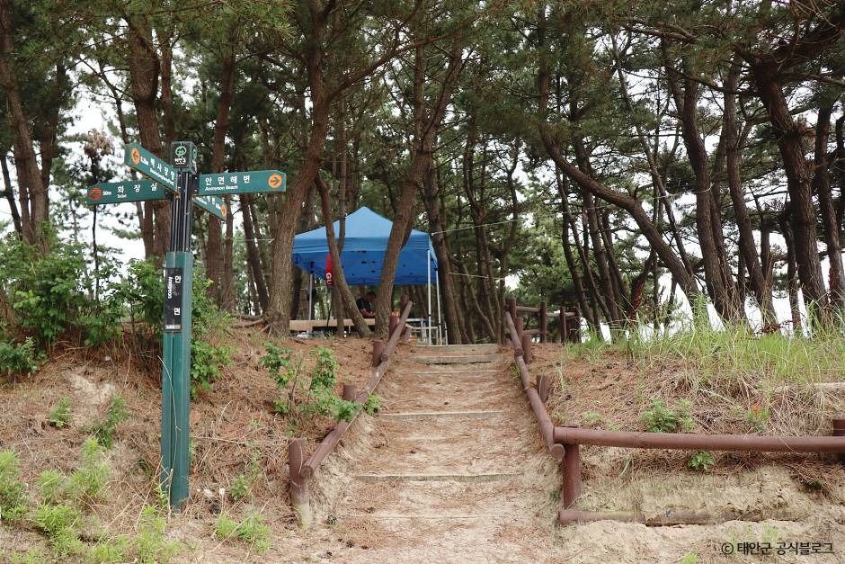 안면해수욕장 여행 추천 - 메고지고 안면해수욕장 여행 추천 - 메고지고
