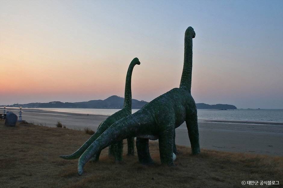 신두리해수욕장 여행 추천 - 메고지고 신두리해수욕장 여행 추천 - 메고지고