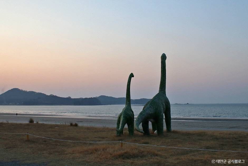신두리해수욕장 여행 추천 - 메고지고 신두리해수욕장 여행 추천 - 메고지고