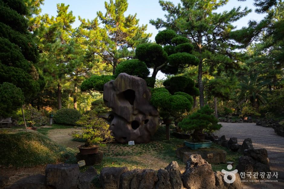 쌍용굴(한림공원) 여행 추천 - 메고지고 쌍용굴(한림공원) 여행 추천 - 메고지고